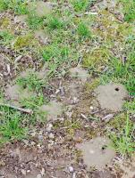 View photo in a new window