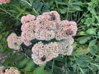 View photo in a new window