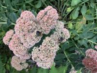 View photo in a new window