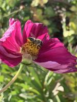 View photo in a new window