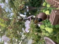 View photo in a new window