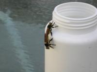 View photo in a new window