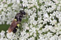 View photo in a new window