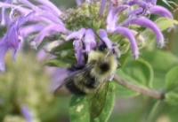 View photo in a new window