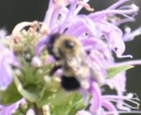 View photo in a new window