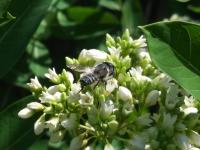 View photo in a new window