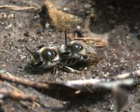 View photo in a new window