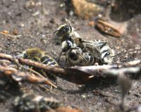 View photo in a new window