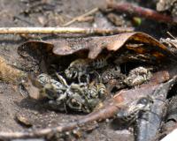 View photo in a new window