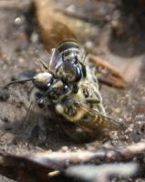 View photo in a new window