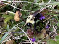 View photo in a new window