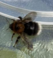 View photo in a new window