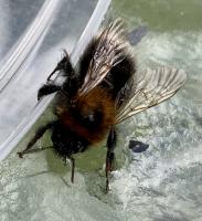 View photo in a new window