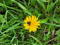 View photo in a new window