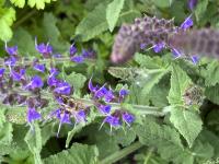 View photo in a new window