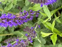 View photo in a new window