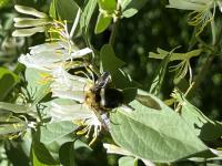 View photo in a new window