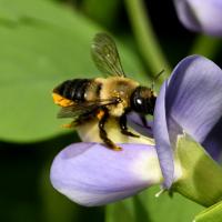 View photo in a new window