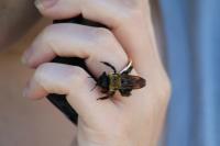 View photo in a new window