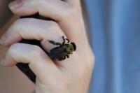 View photo in a new window