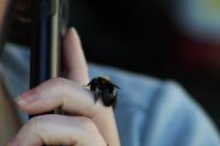 View photo in a new window