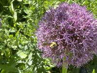 View photo in a new window