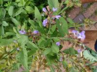 View photo in a new window