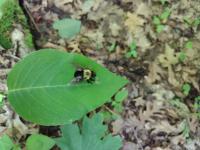 View photo in a new window