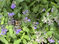 View photo in a new window