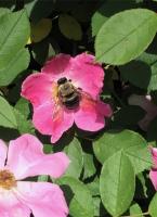 View photo in a new window