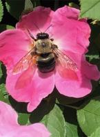 View photo in a new window