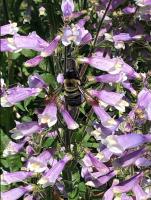 View photo in a new window