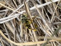 View photo in a new window