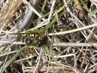 View photo in a new window