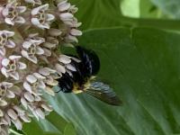 View photo in a new window