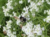 View photo in a new window