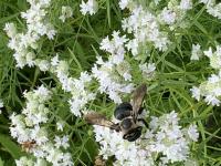 View photo in a new window