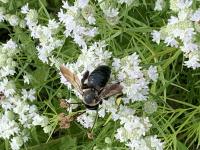 View photo in a new window