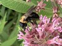 View photo in a new window