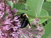 View photo in a new window