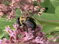 View photo in a new window