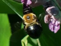 View photo in a new window