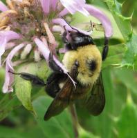 View photo in a new window