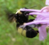 View photo in a new window