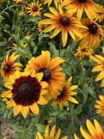 View photo in a new window