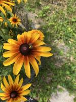 View photo in a new window