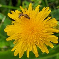 View photo in a new window