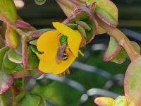 View photo in a new window