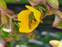 View photo in a new window