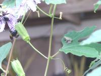 View photo in a new window